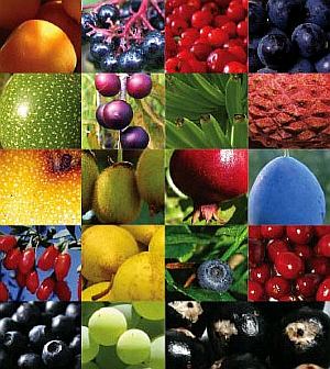 antioxidantfoods antioxidantfoods