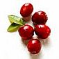 Cranberries for preventing urinary tract infections. Cranberries-sm