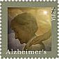 review of antioxidants and Alzheimer’s disease.