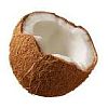 Coconut-sm