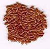 Flaxseed: a potential source of food, feed and fiber.