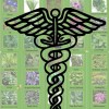 Epilepsy Info Packet HerbCaduceusLogo